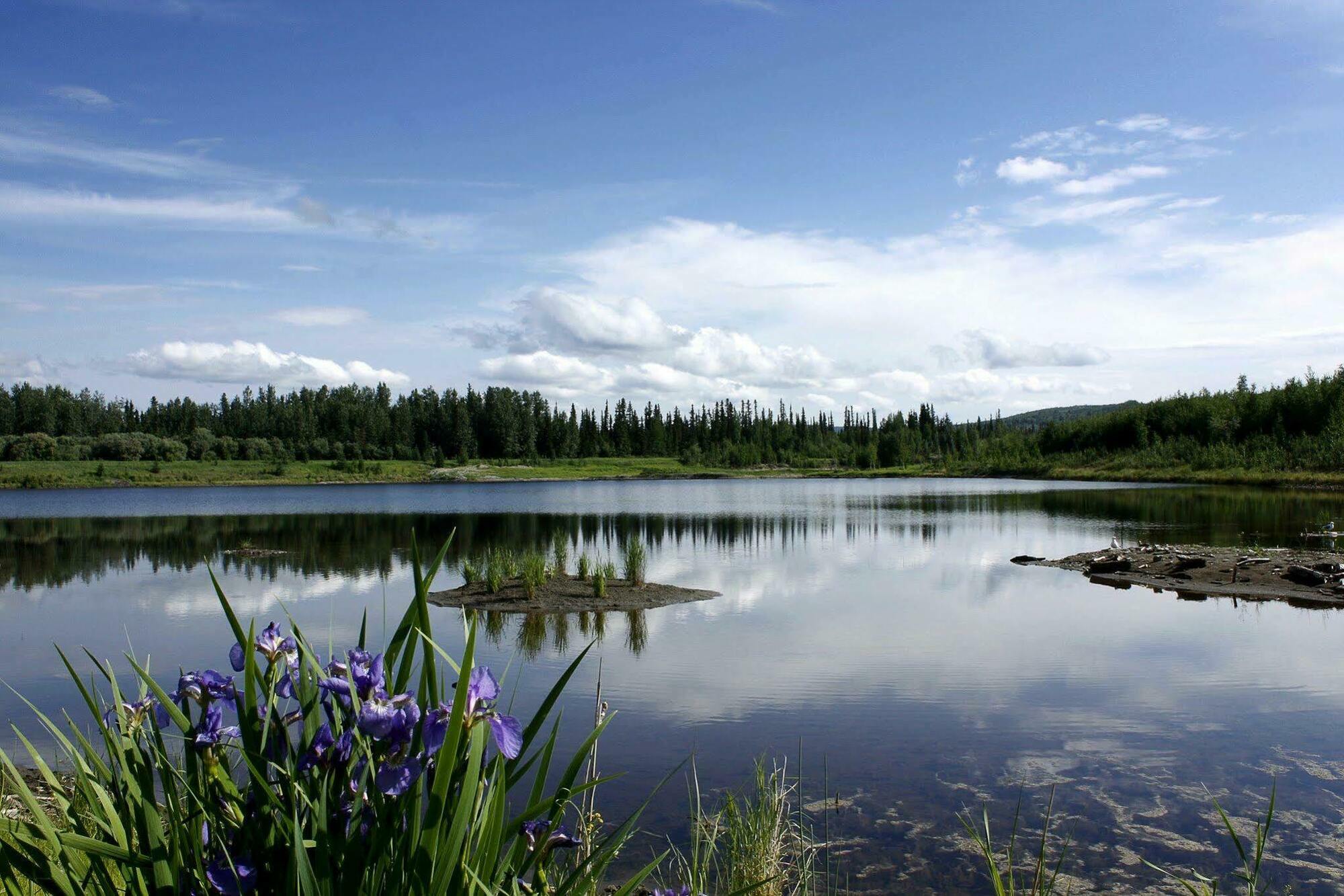Wedgewood Resort Fairbanks Exteriör bild